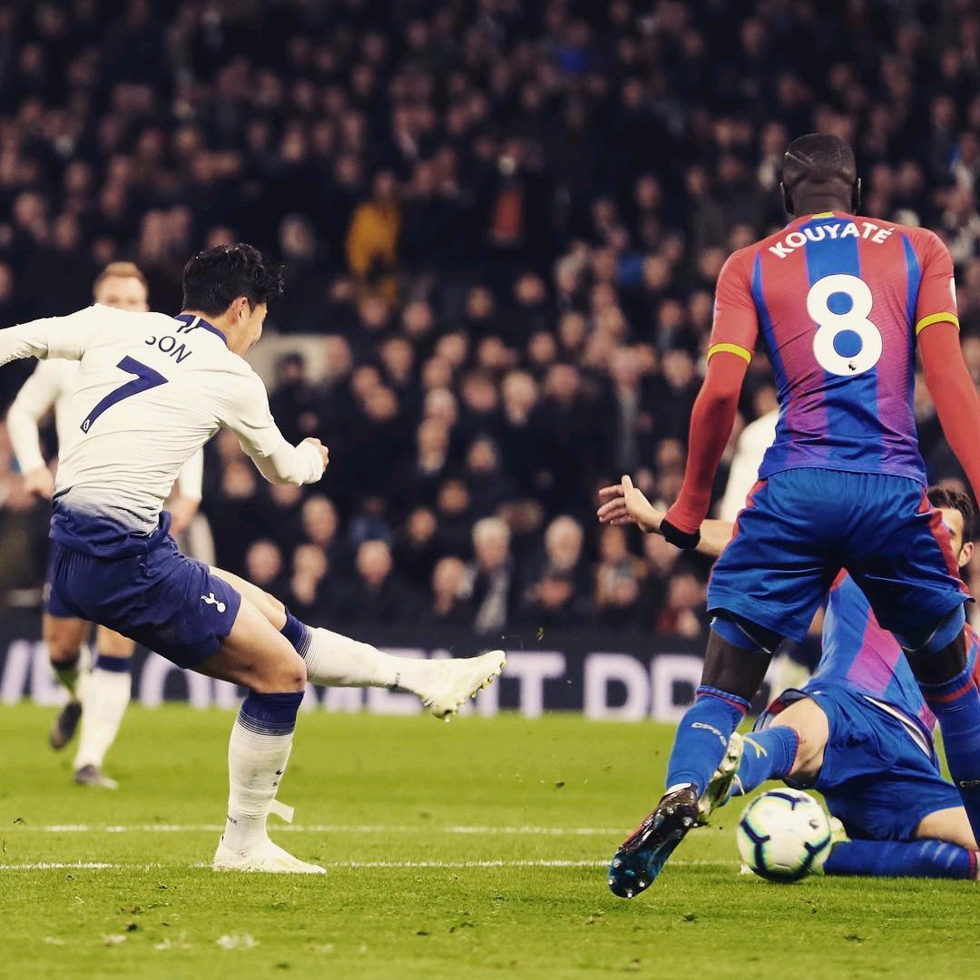 老鹰走路像极了老板，接下来忍住别笑，一起来感受一下